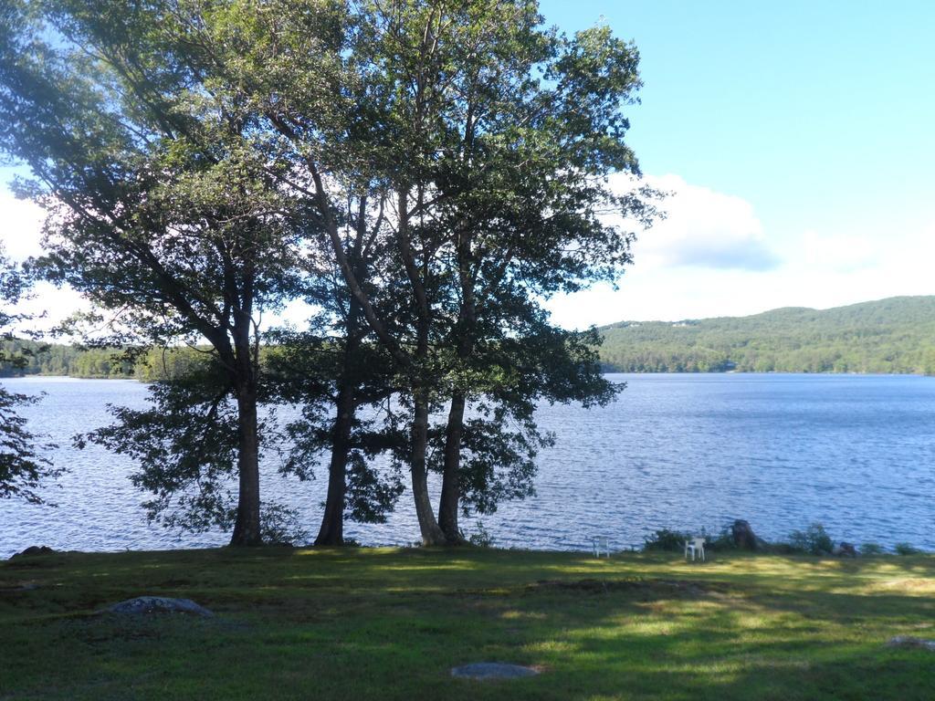 Holderness White Oak Motel & Cottages المظهر الخارجي الصورة
